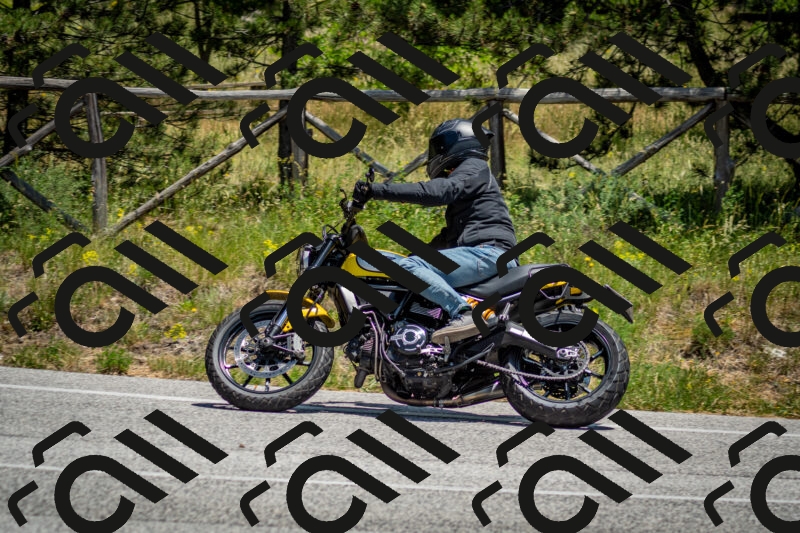 202506141316-DSC_8389_c2