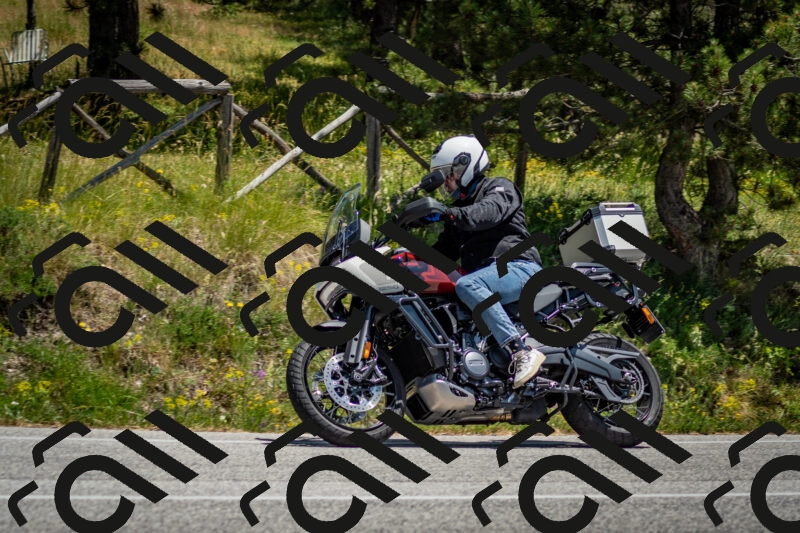 202506141316-DSC_8391_c2