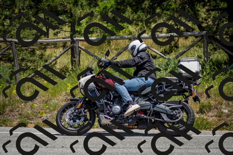 202506141316-DSC_8392_c2