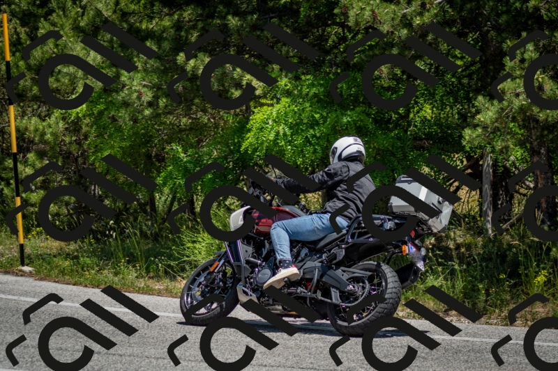 202506141316-DSC_8393_c2