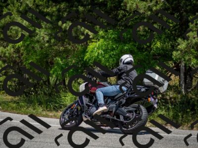 202506141316-DSC_8393_c2