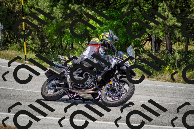 202506141316-DSC_8395_c2