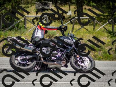 202506141316-DSC_8396_c2