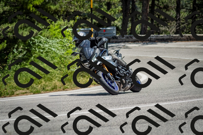 202506141317-DSC_8398_c2