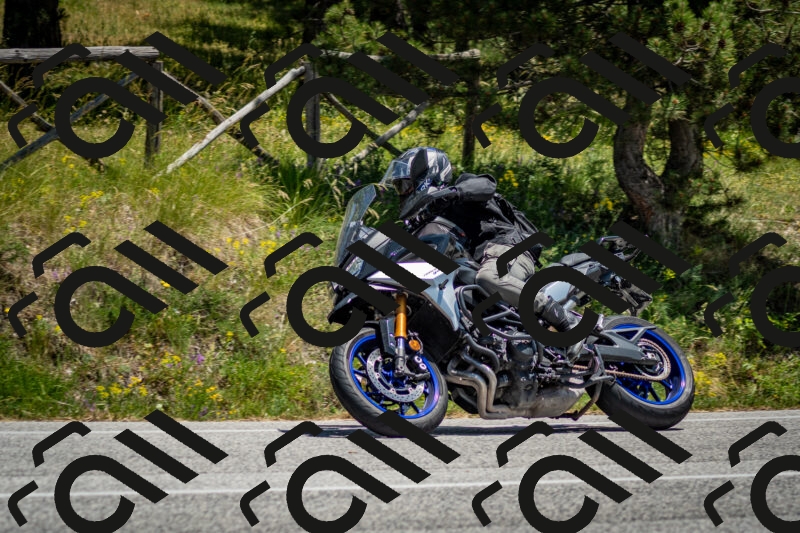 202506141317-DSC_8399_c2