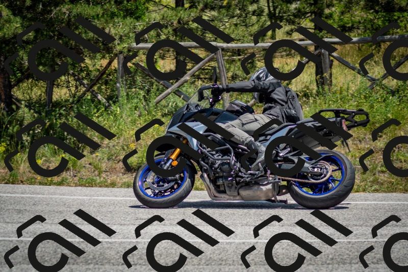 202506141317-DSC_8400_c2