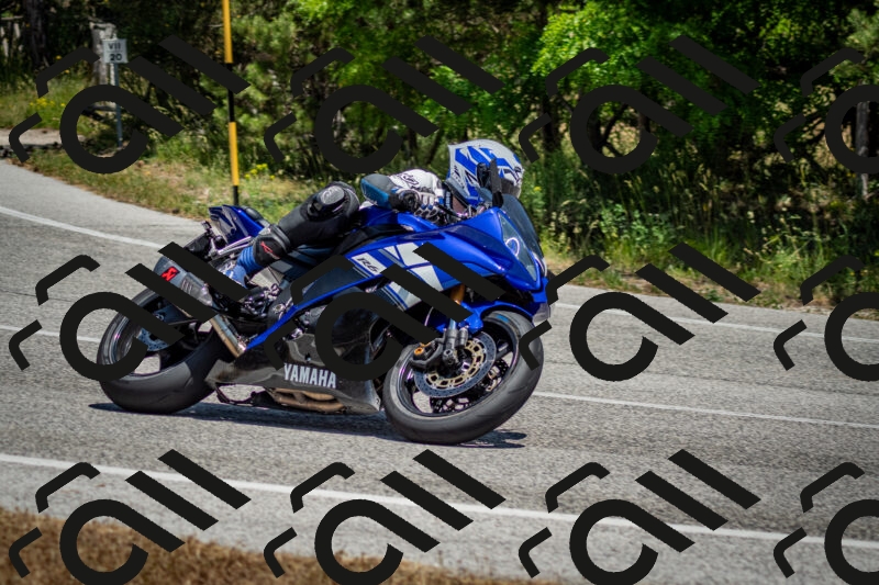 202506141317-DSC_8403_c2