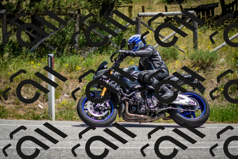 202506141317-DSC_8407_c2