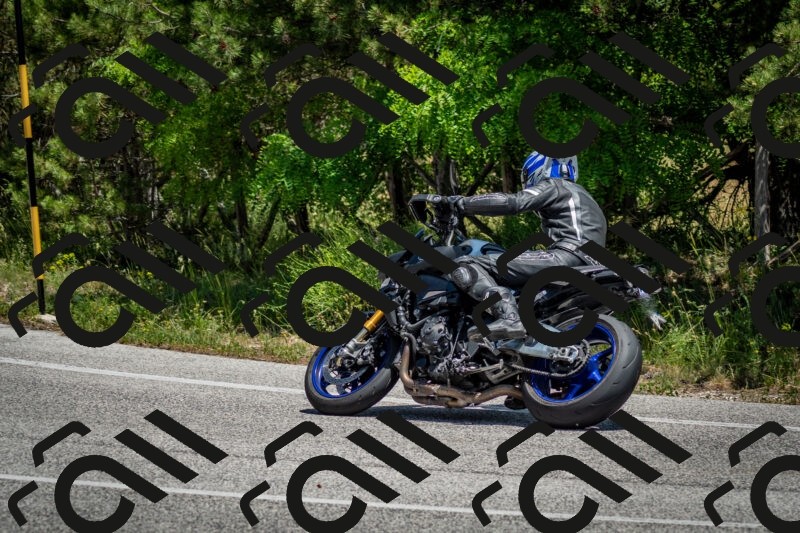 202506141317-DSC_8408_c2