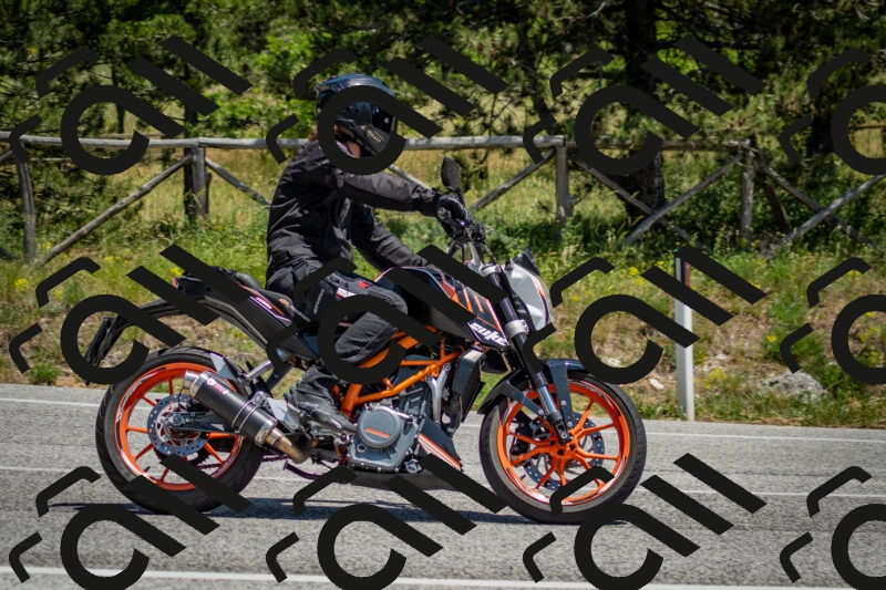 202506141317-DSC_8411_c2