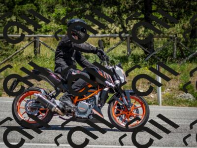 202506141317-DSC_8411_c2