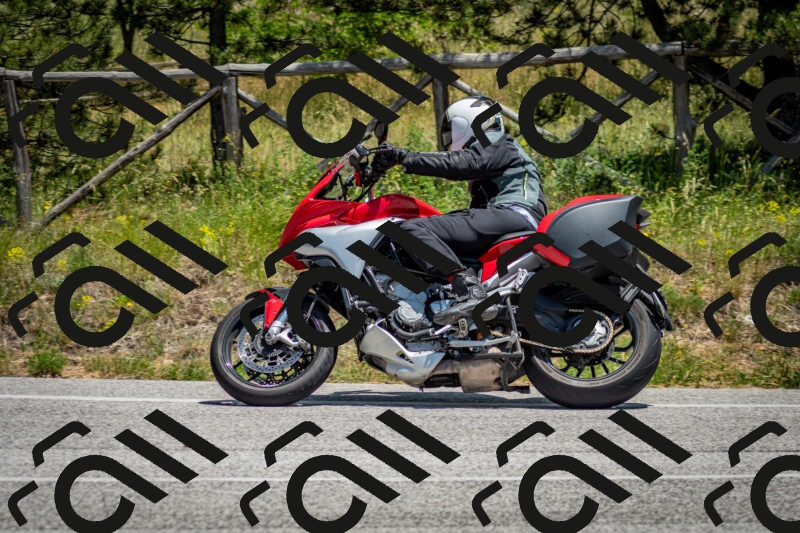 202506141318-DSC_8417_c2