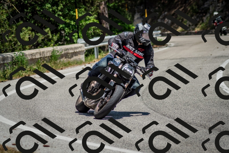 202506141318-DSC_8419_c2