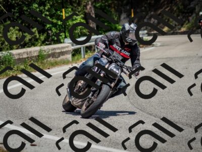 202506141318-DSC_8419_c2