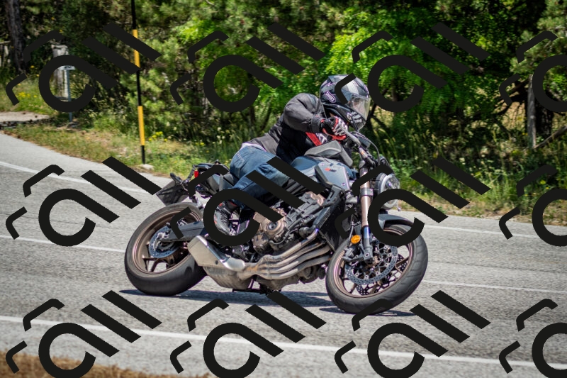 202506141318-DSC_8420_c2