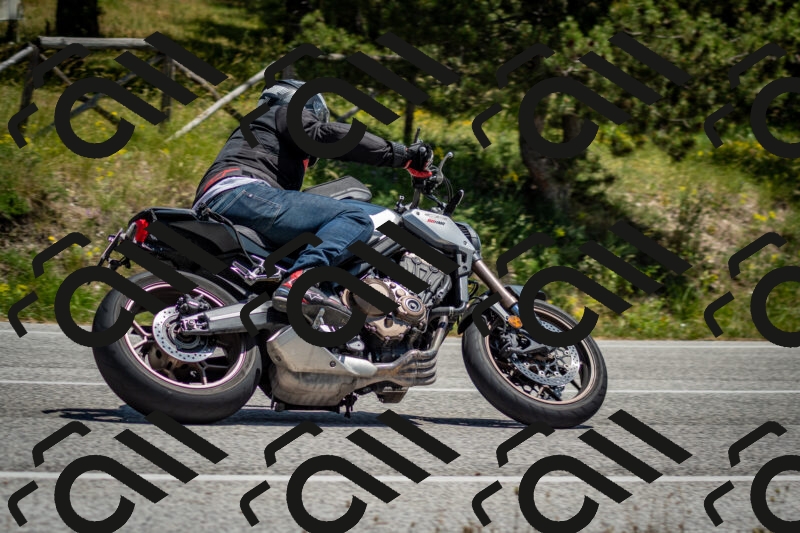 202506141318-DSC_8421_c2