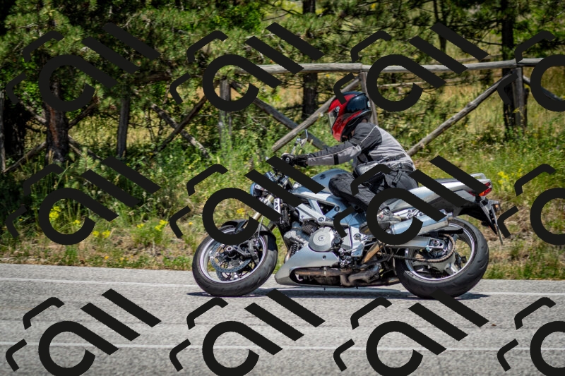 202506141318-DSC_8425_c2