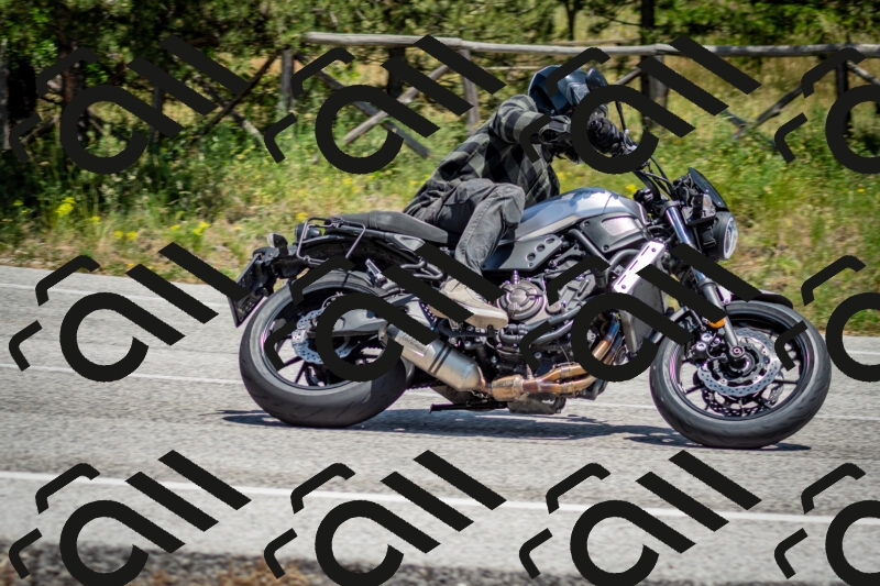 202506141321-DSC_8427_c2