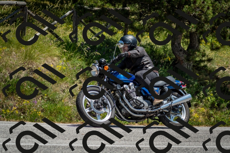 202506141323-DSC_8434_c2