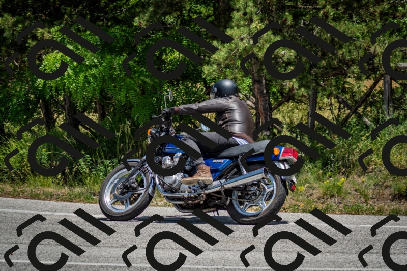 202506141323-DSC_8436_c2