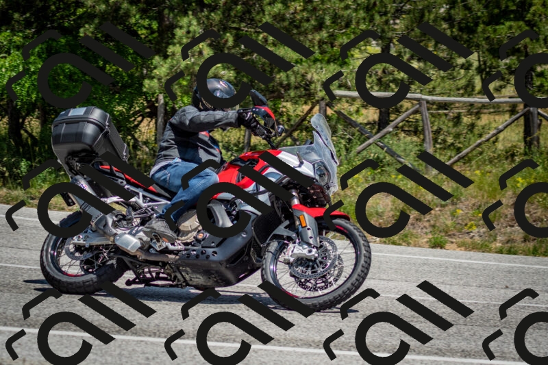 202506141329-DSC_8441_c2