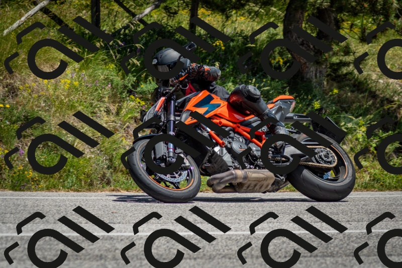 202506141332-DSC_8445_c2