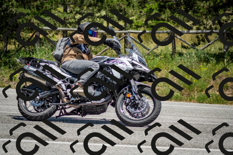 202506141335-DSC_8450_c2