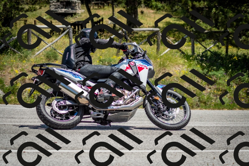 202506141335-DSC_8453_c2