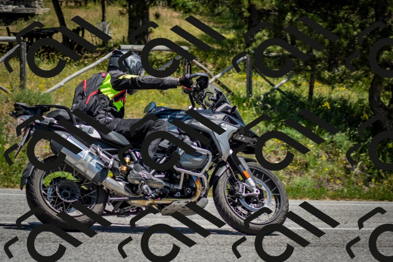 202506141335-DSC_8459_c2