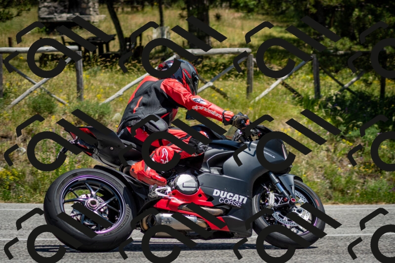 202506141336-DSC_8466_c2