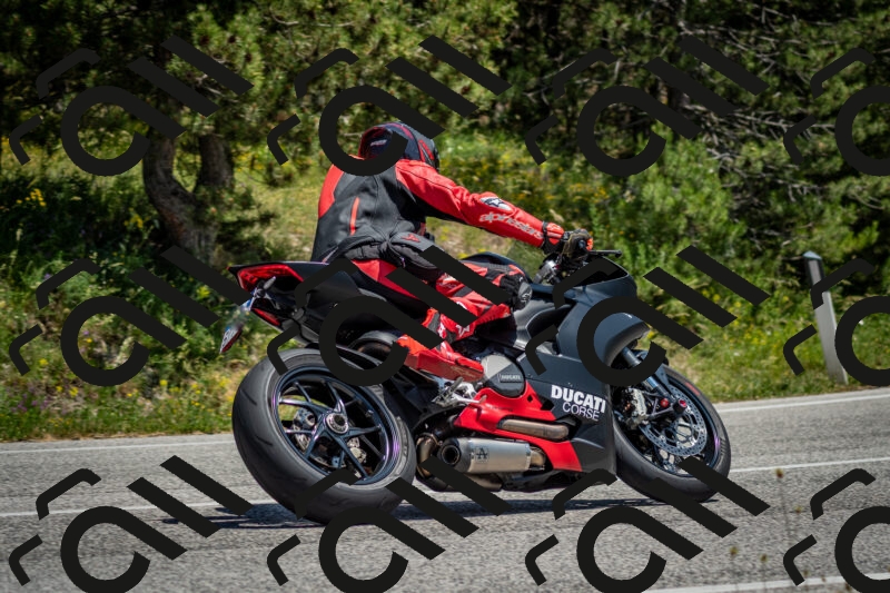 202506141336-DSC_8467_c2