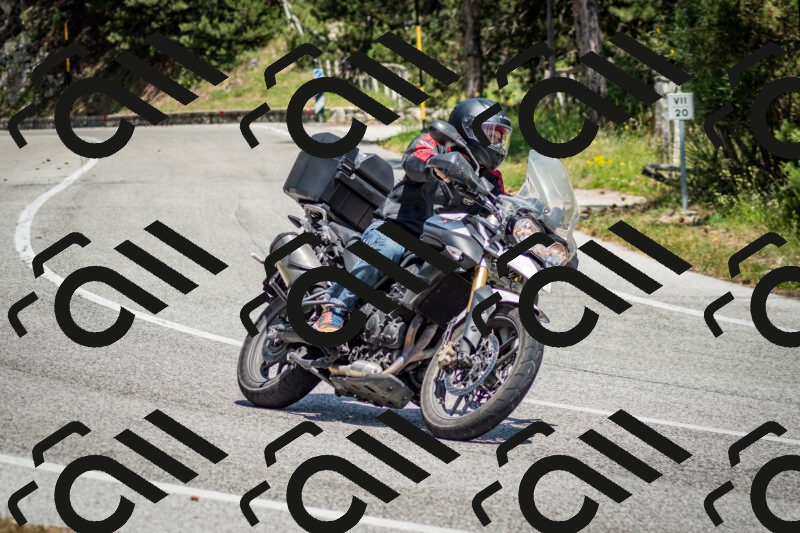 202506141337-DSC_8468_c2