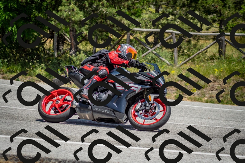 202506141337-DSC_8474_c2