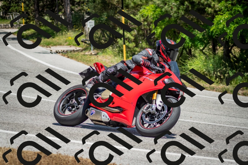 202506141338-DSC_8478_c2