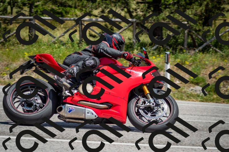 202506141338-DSC_8479_c2