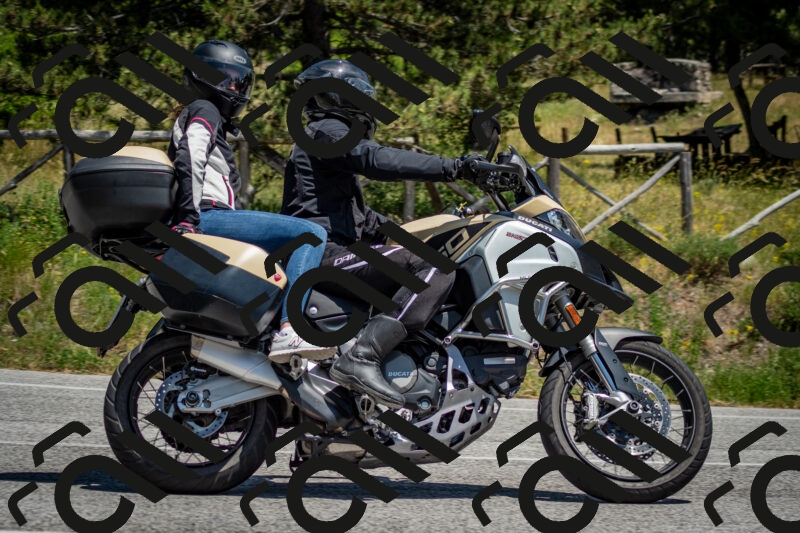 202506141342-DSC_8498_c2