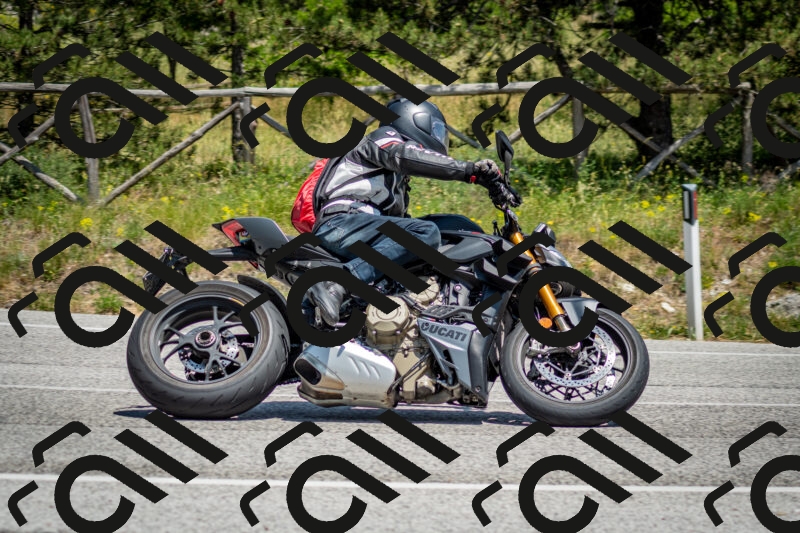 202506141342-DSC_8502_c2