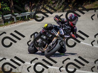 202506141343-DSC_8504_c2