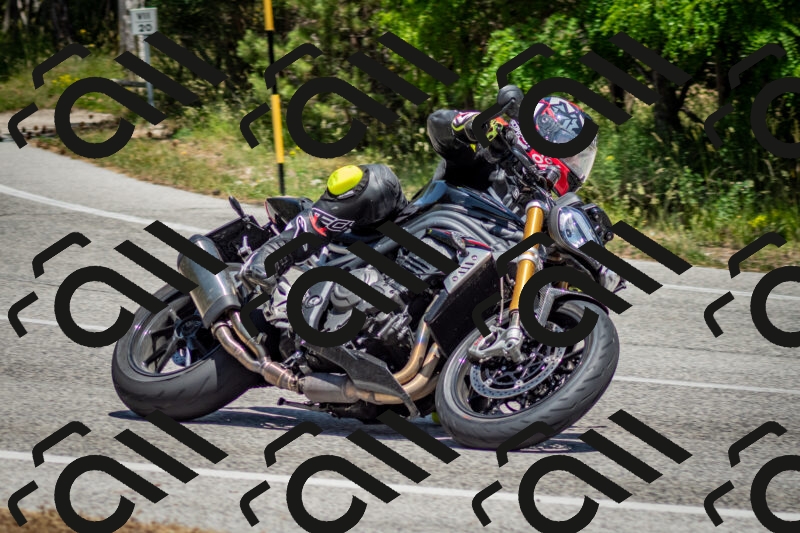 202506141343-DSC_8505_c2