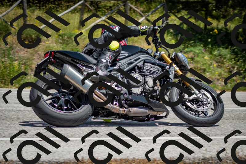 202506141343-DSC_8506_c2