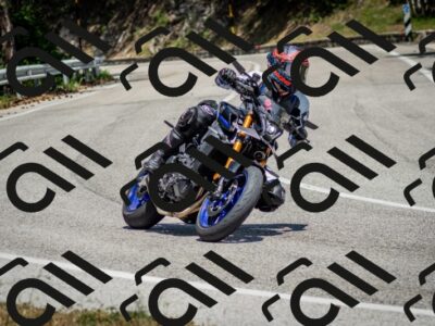 202506141343-DSC_8509_c2