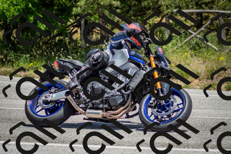 202506141343-DSC_8510_c2