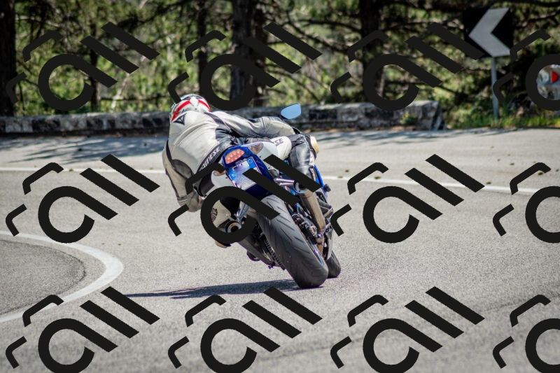 202506141346-DSC_8516_c2