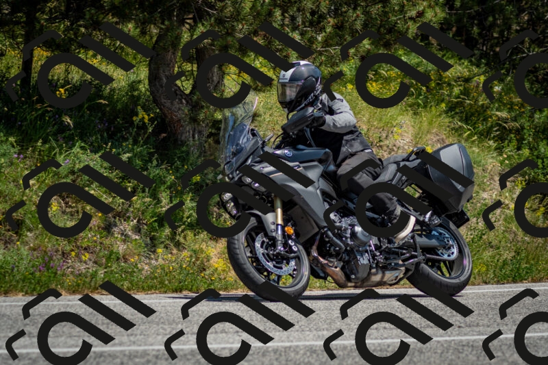 202506141348-DSC_8522_c2