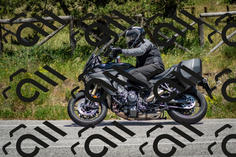 202506141348-DSC_8523_c2