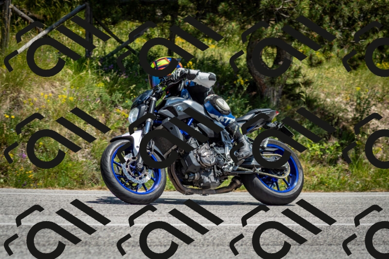 202506141350-DSC_8526_c2