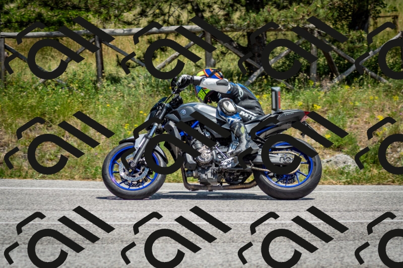 202506141350-DSC_8527_c2