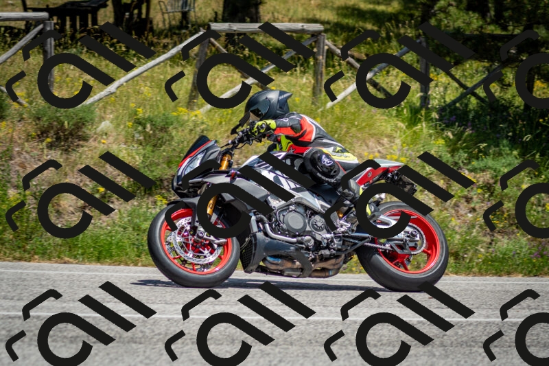 202506141350-DSC_8528_c2