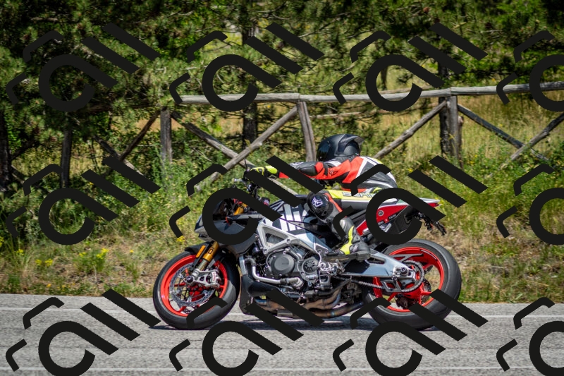 202506141350-DSC_8529_c2