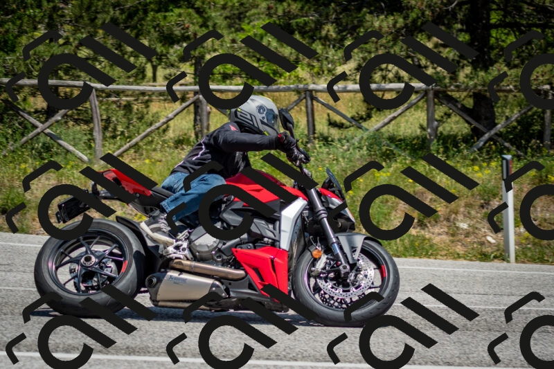 202506141351-DSC_8534_c2